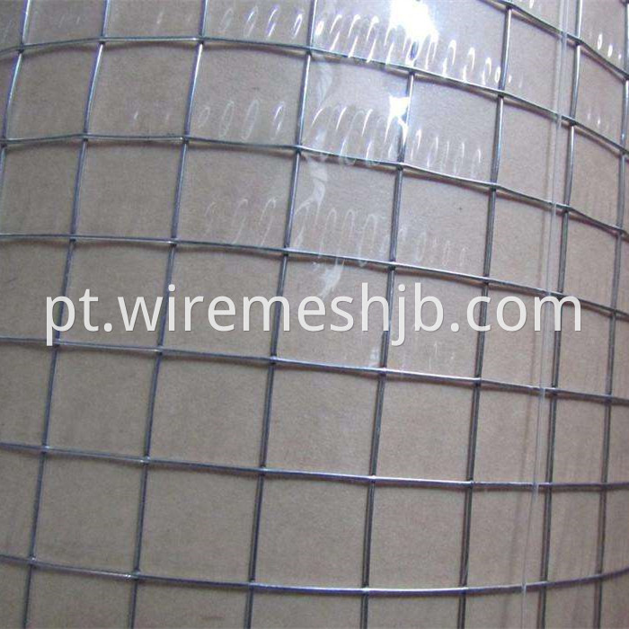 Welded Wire Mesh